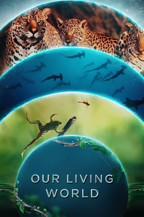 Our Living World : 1.Sezon 2.Bölüm