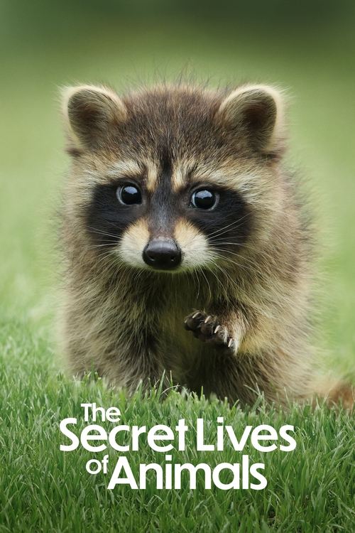The Secret Lives of Animals : 1.Sezon 3.Bölüm