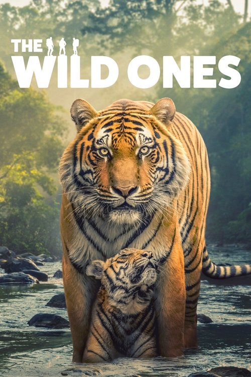 The Wild Ones : 1.Sezon 2.Bölüm